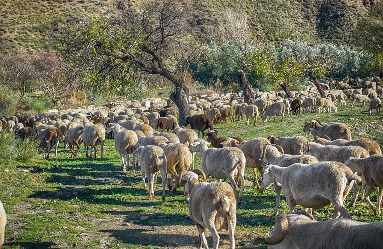 Επιπλέον 12,5 εκατ. ευρώ για τις Περιφέρειες